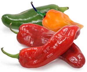 How to Grow Peppers in Your Garden