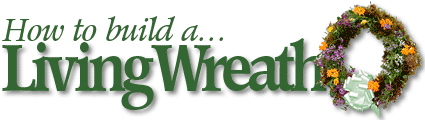 How To Build A Living Wreath