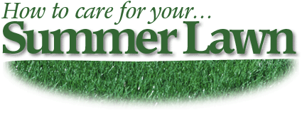 How To Care For Your Summer Lawn