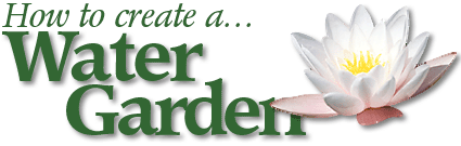 How To Create A Water Garden