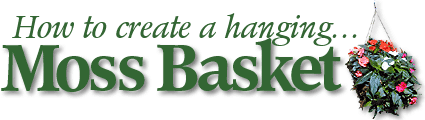 How To Create A Hanging Moss Basket