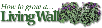 How To Grow A Living Wall