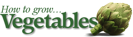 How To Grow Vegetables