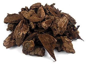 Navlet's Medium Bark